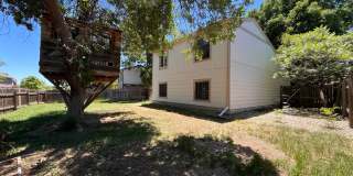 Fantastic Home in Central Fort Collins Gallery 29