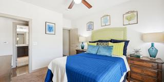 Anatole on MacArthur Gallery 20