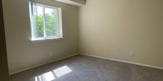 Northgate Gallery 267