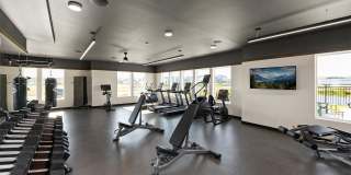 Savannah at Ankeny Gallery 21