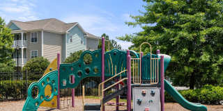 Creekside Vista Gallery 24