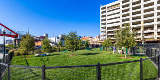 The Emery Gallery 101