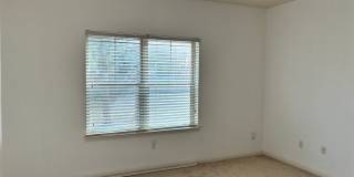 Bright 3BR 3BA Home w/ Community Pool & Dog Park • Fenced Backyard • Attached Garage in Round Rock Gallery 15