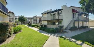 833 Cinnamon Gallery 33