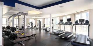 The Triton Gallery 16