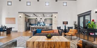 Water Oak Gallery 53