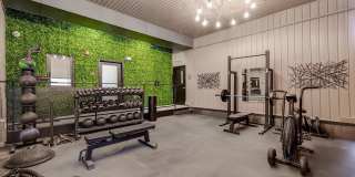 Copper Flats Gallery 6