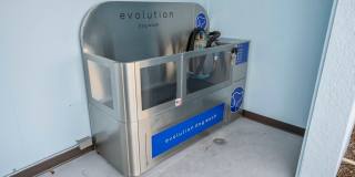 Mosaic at Lake Toho Gallery 35