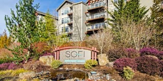 Sofi at Forest Heights Gallery 1