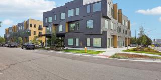 The Ayden Gallery 34