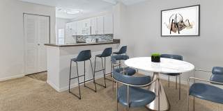 Sabal Palm at Lake Buena Vista Gallery 2