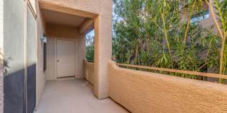 13818 N Saguaro Boulevard Gallery 24