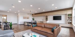 District South Gallery 16