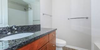 Carrington Gallery 67