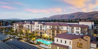 Senior Housing- Palmia, Age 55+ Luxury Apartments Gallery 37