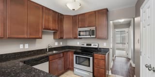 Jefferson Chase Gallery 5