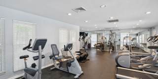 Piccadilly Gallery 21