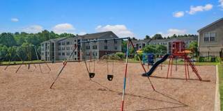 Mallside Forest Gallery 15