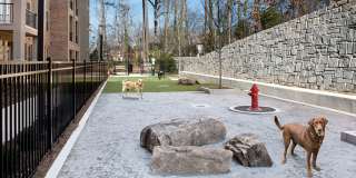 Linq at North Springs Gallery 29