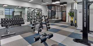 Summerhill Gallery 10