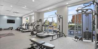 Alto Fairfield Metro Gallery 25