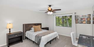 172 Deer Lake Circle Gallery 44