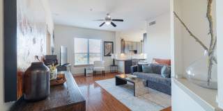 Domain at Kirby Gallery 16