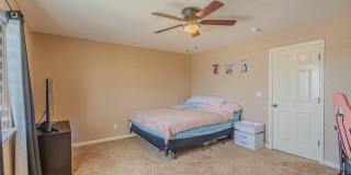 3240 PERUVIAN PASO Drive Gallery 25