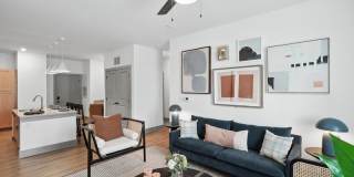 Bluebird on Seventy Gallery 5