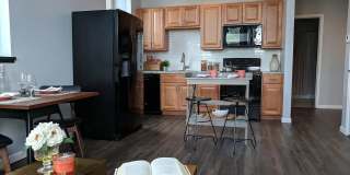 169 Elk St Gallery 14