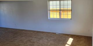 Pet Friendly 3 Bedroom 2 Bathroom Duplex Gallery 26