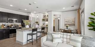 Paloma Luxury Apartments Gallery 4