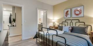 Jovia Gallery 24