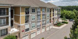 Red Knot at Edinburgh Gallery 41