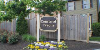 8008 TYSON OAKS Circle Gallery 34