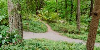 2121 Belmont Gallery 49