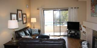 7952 E Colette Circle unit: 164 Gallery 2