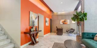 The Statesman Gallery 8