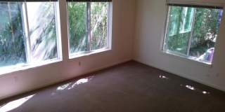 (560) 21st Street Duplex - 2 Bedroom / 2 Bathroom Gallery 2