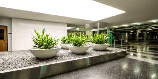 The Statler Residences Gallery 40