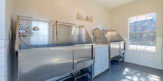 Wray North Dallas Gallery 35