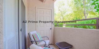 10410 North Cave Creek Road Gallery 19