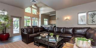 Springfield Meadows Gallery 1