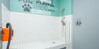 One Belmar Place Gallery 20