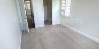 ***Gorgeous 4 bed / 3 bath / 2,585 sqft House in Calavera Hills - Available 07/01*** Gallery 24
