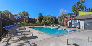 The Modern Gallery 35