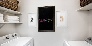 Windsor Chastain Gallery 15