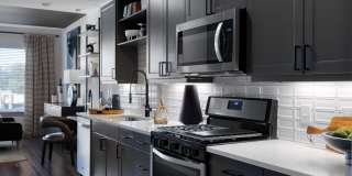 Ele Lower Greenville Gallery 22