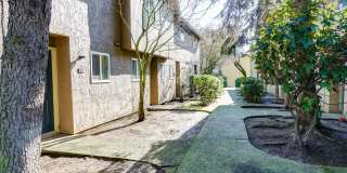 Spacious and immaculate townhomes! Gallery 20