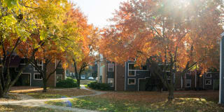 Apple Creek Gallery 14